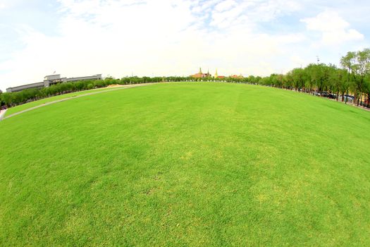 Green pasture and bright blue sky (with lens Fish eye)