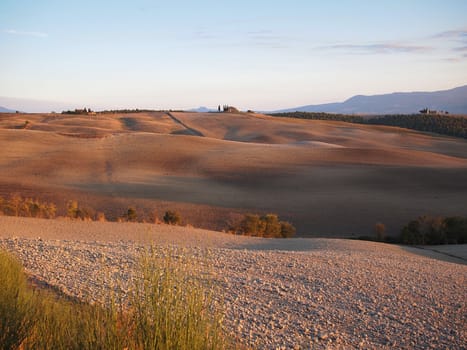 The typical barren hills of the Val d�Orcia in Tuscany, Italy in autumn.