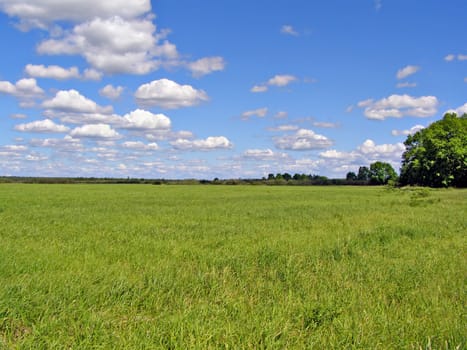 green field