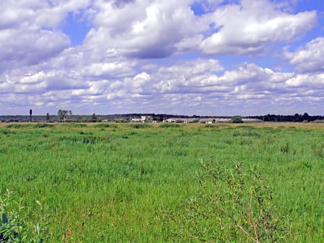 farm in field