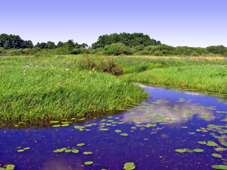 river on field