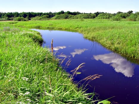 river on field
