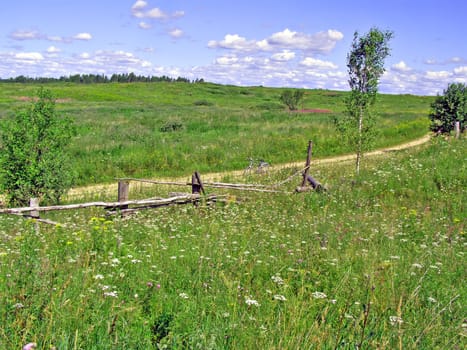 rural road through field