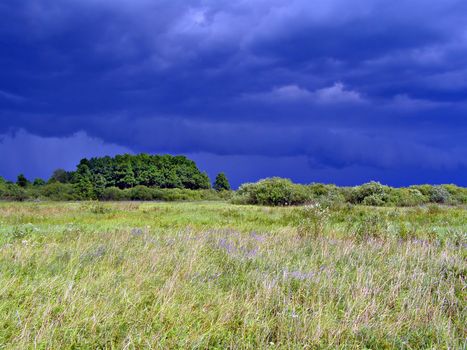 meadow before thunderstorm