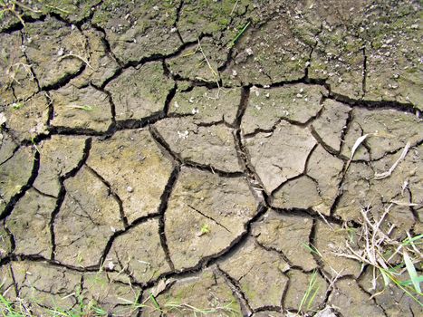 dry land