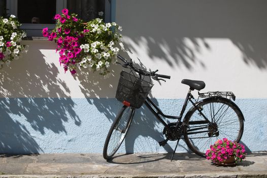 Bicycle near window with flowers