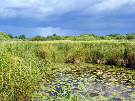 small lake on field