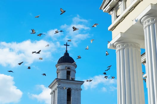 many flying pigeons on city sky background
