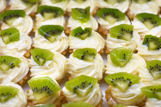 Small cakes (petit four) with custard and kiwi on top. Shallow DOF. Sharp focus on second line.