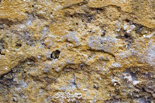Brown lichen on old concrete slab. Grunge background