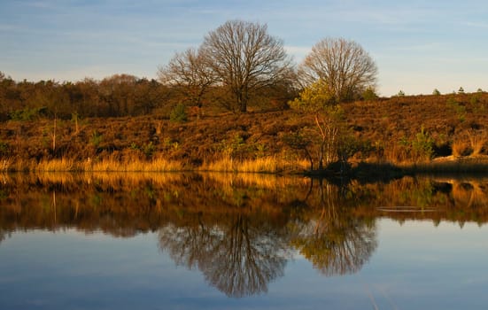  color full autumn scene in the late afternoon with reflection in the lake
