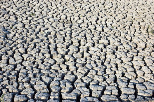 background: cracked dried ground with discarded bottle