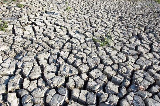 background: cracked dried ground with discarded bottle