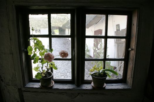 Looking out of the window in an very old Danish farm house. The Funen Village, Odense.