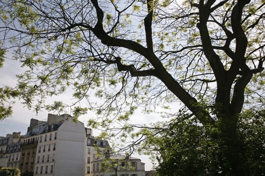Springtime Montmartre - Paris, France.