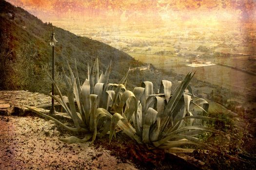 Artistic work of my own in retro style - Postcard from Italy. - Agave with view - Tuscany.