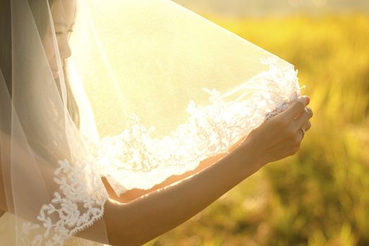 Asian bride under veil at outdoor in a morning surrounding by golden sunlight