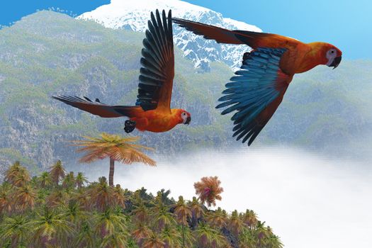 Two beautiful parrots fly together in their jungle paradise.