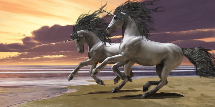 Two white unicorns prance and play near the ocean.