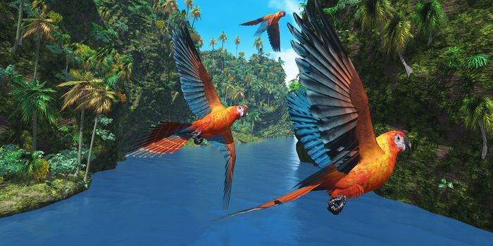Three amazing parrots fly over a jungle river in their brightly colored plumage.