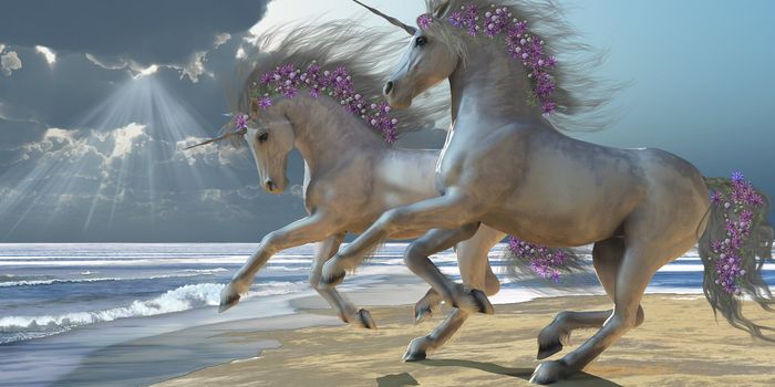 Two beautiful magical white unicorns frolic on the beach.
