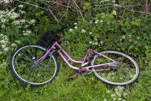 A pink female bicycle thrown in the roadside - Denmark.