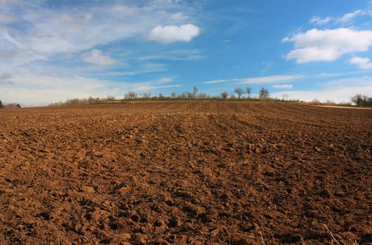 Landscape of agricultural land