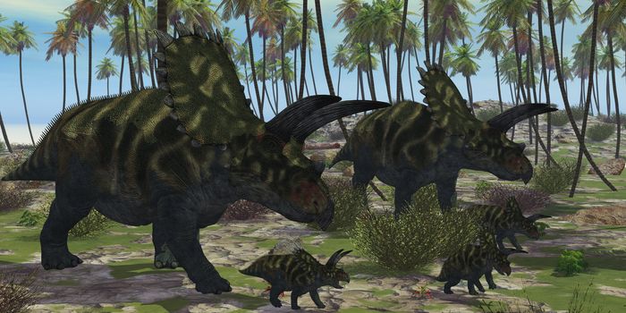 Two mother Coahuilaceratops dinosaurs escort their baby hatchlings among the palm trees of prehistoric times.