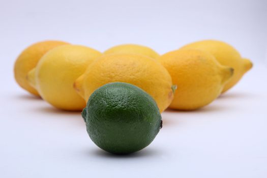 Citruses: lime and lemon