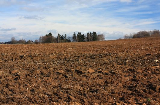 Landscape of agricultural land