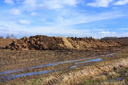 Manure farmland, agriculture