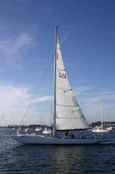 Americas cup sailboat