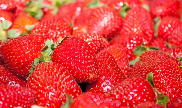 Background of the first strawberries of the season