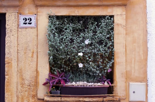Window with flowers on an old house in Istria, Croatia