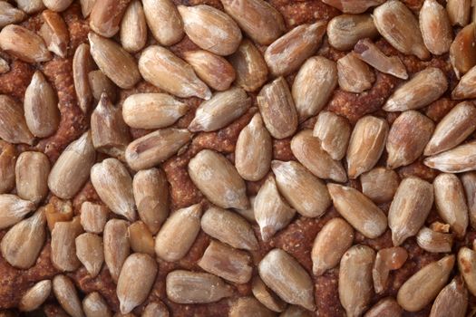 Brown bread sunflower seeds texture in close-up