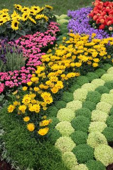 Flowers in garden