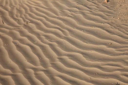 Wind textures on sand in Sahara