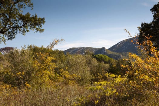 the mountain autumn landscape with colorful forest.