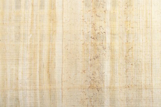 Papyrus type paper texture use as background