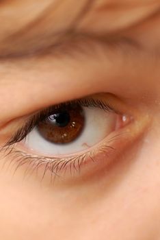 caucasian boy's beautiful brown eye closeup macro