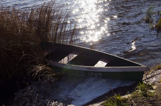 Wooden boat with number on it locked at lake shore and reeds. Sun reflections on water.