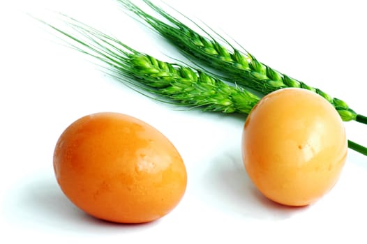 Egg and green wheat ears on a white background