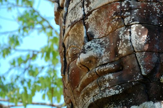 An ancient face of temple in angkor thom