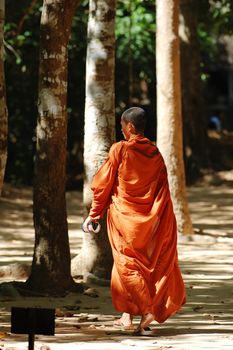 A walking monk