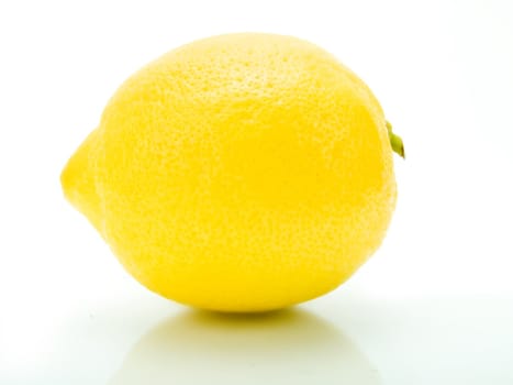Lemon fruit on a white background