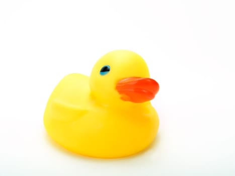 Rubber duck on a white background