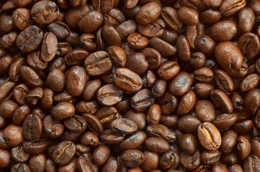 textured background: brown roasted coffee beans macro closeup