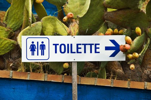 Toilette sign at Italian hotel swimming-pool with Indian figs 