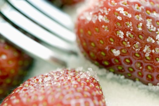 ripe red strawberries coated in sugar granuals