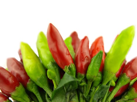 chili pepper and hot red pepper very close